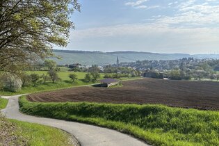 Wald, Weinberge & Weitblicke – Herbstwanderung rund um Bad Mergentheim | © Schwäbischer Albverein