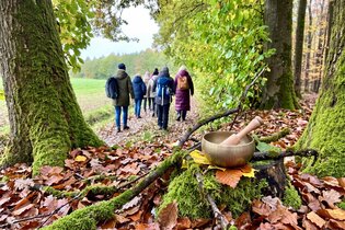 Waldbaden | Entspannung in der Natur | © Tanja Koch| Praxis für Physiotherapie und Naturheilkunde