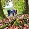 Waldbaden | Entspannung in der Natur