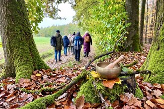 Waldbaden | Entspannung in der Natur | © Tanja Koch| Praxis für Physiotherapie und Naturheilkunde