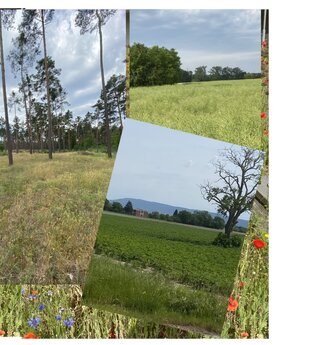 Wälder, Felder, Gaumenkitzler. | © Michael Lamprecht