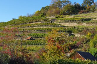 Wälder, Wiesen, Wasser, Werkstein und Wein | © Stadt Maulbronn