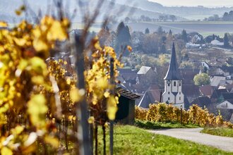 Wandern mit Wein im Schwarzrieslingdorf Kürnbach | © Kraichgau-Stromberg Tourismus e.V.