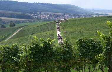 Wandern mit Wein im Schwarzrieslingdorf Kürnbach