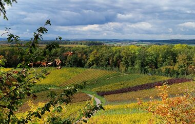 Wanderung - Tauche ein in die Stille der Natur | © Jennifer Reisner Fotografie