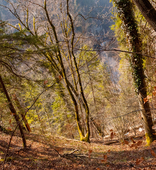Wanderung - Tauche ein in die Stille der Natur | © Jennifer Reisner Fotografie