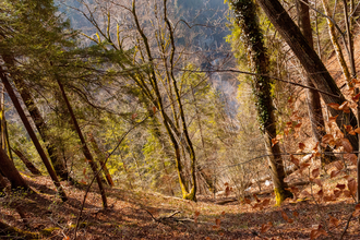 Wanderung - Tauche ein in die Stille der Natur | © Jennifer Reisner Fotografie