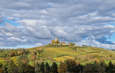 Wanderung - Tauche ein in die Stille der Natur | © Jennifer Reisner Fotografie