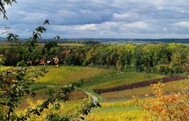 Wanderung - Tauche ein in die Stille der Natur | © Jennifer Reisner Fotografie