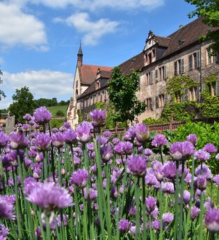 Wanderung auf den Spuren der ehemaligen Schlossbrauerei | © Eigenbetrieb Kloster Bronnbach