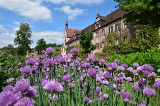 Wanderung auf den Spuren der ehemaligen Schlossbrauerei | © Eigenbetrieb Kloster Bronnbach