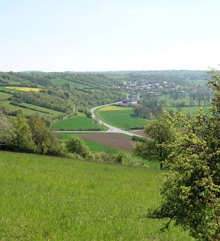 Wanderung durch die Röttinger Hängepartien – Taubertäler Einsichten | © Tourist-Info Röttingen