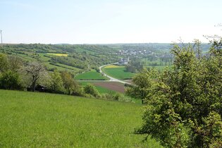 Wanderung durch die Röttinger Hängepartien – Taubertäler Einsichten | © Tourist-Info Röttingen