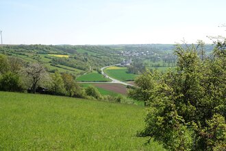 Wanderung durch die Röttinger Hängepartien – Taubertäler Einsichten | © Tourist-Info Röttingen