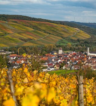 Wanderung durch die Weinberge | © Thorsten Günthert