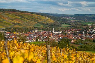 Wanderung durch die Weinberge | © Thorsten Günthert