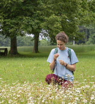 Wanderung: Was wächst uns da im Dorf? Unkraut, Wildkraut oder Heilkraut? | © TMBW