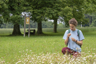 Wanderung: Was wächst uns da im Dorf? Unkraut, Wildkraut oder Heilkraut? | © TMBW