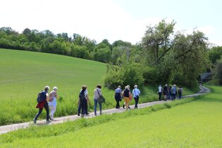 Wanderung zum Industriepark Würth - Ein Tag der Kultur | © Würth Industrie Service