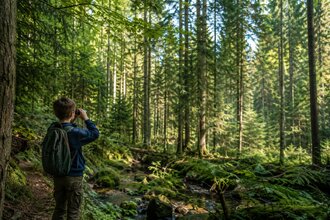 Warum der Wald so gut tut – Ab in den Wald! | © KI-generiert