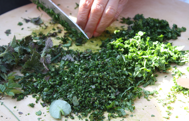 Was grünt und blüht auf der Botenheimer Heide | © NZT