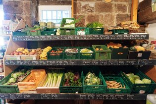 Was wächst wo? - Solidarische Landwirtschaft Schloss Tempelhof | © TMBW