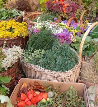 Weidenflechten und Herbstkränze binden