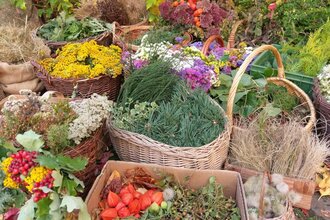 Weidenflechten und Herbstkränze binden