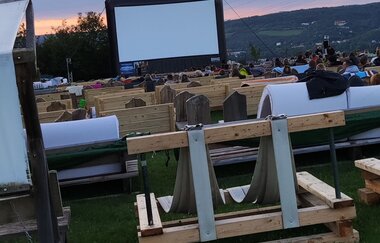 Weidenkino | © Stadt Bad Mergentheim