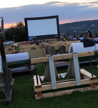 Weidenkino | © Stadt Bad Mergentheim