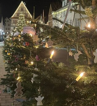 Ein Blick in die weihnachtlich dekorierte Künzelsauer Innenstadt mit den von Kindern geschmückten Weihnachtsbäumen | © Touristikgemeinschaft Hohenlohe | KÜN aktiv e.V.