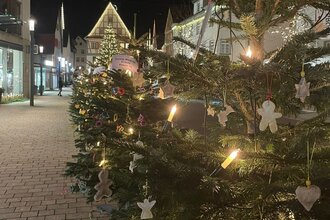 Ein Blick in die weihnachtlich dekorierte Künzelsauer Innenstadt mit den von Kindern geschmückten Weihnachtsbäumen | © Touristikgemeinschaft Hohenlohe | KÜN aktiv e.V.