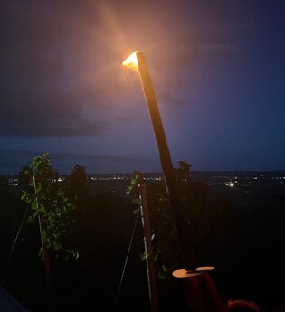 Fackel in den Weinbergen