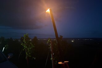 Fackel in den Weinbergen
