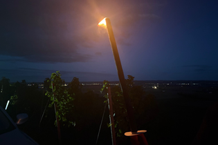 Fackel in den Weinbergen