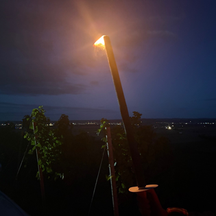 Fackel in den Weinbergen