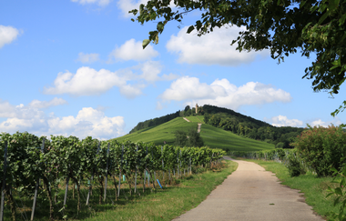 Weg zur Heuchelberger Warte | Leingarten | HeilbronnerLand | © Heuchelberger Warte