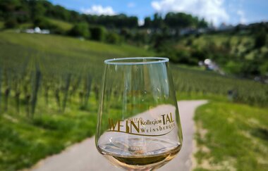 Wein über Berg & Tal - Weinwanderevent Löwensteiner Berge | HeilbronnerLand