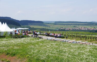 Wein über Berg und Tal | WeinWanderEvent | Weinsberger Tal | HeilbronnerLand