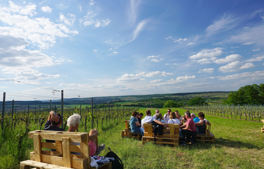 Wein über Berg und Tal | WeinWanderEvent | Weinsberger Tal | © Tourismus im Weinsberger Tal e.V.