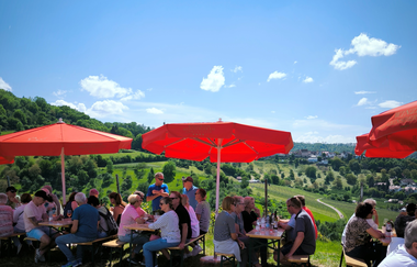 Wein über Berg & Tal - Weinwanderevent Löwensteiner Berge | HeilbronnerLand | © Touristikgemeinschaft HeilbronnerLand