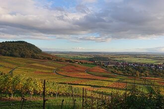 Wein und herbstliche Farbenpracht | © Weingut Weiberle