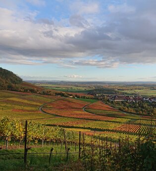 Wein und herbstliche Farbenpracht | © Weingut Weiberle