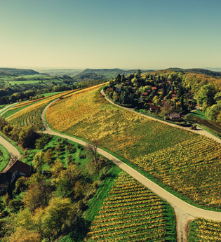 Weinlandschaft im Naturpark Schwäbisch-Fränkischer Wald | Beilstein | HeilbronnerLand | © Touristikgemeinschaft HeilbronnerLand e.V.