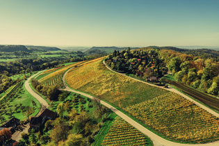 Weinlandschaft im Naturpark Schwäbisch-Fränkischer Wald | Beilstein | HeilbronnerLand | © Touristikgemeinschaft HeilbronnerLand e.V.