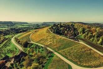 Weinlandschaft im Naturpark Schwäbisch-Fränkischer Wald | Beilstein | HeilbronnerLand | © Touristikgemeinschaft HeilbronnerLand e.V.