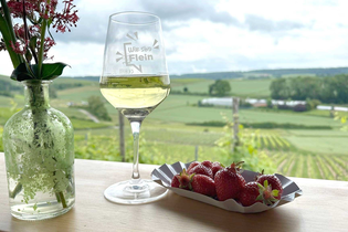 Wein & Wiese | WeinWanderEvent | © Gewerbeverein Flein