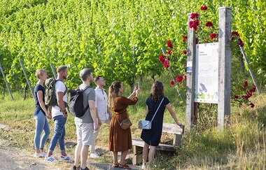 Wein, Witz und weite Ausblicke