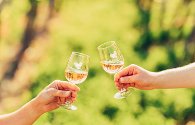 HeilbronnerLand ist Weinland | Weinsüden Baden-Württemberg | © Touristikgemeinschaft HeilbronnerLand e.V.