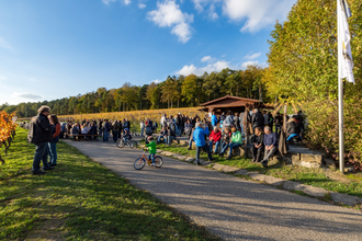 Weinausschank am Wildenberg | Grantschener Weinhäusle | © Ralf Wirth